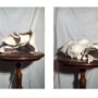Kimberly Krause, 'Surroundings, Fotocollage'