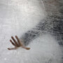 Jasmin Lehmer, 'Frozen III', 50x70cm, 2014